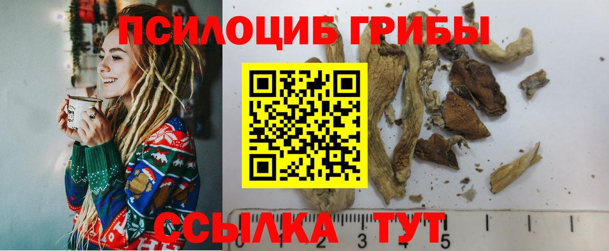 Галлюциногенные грибы мицелий  Вход с VPN  Павловский Посад  Псилоцибиновые грибы мухоморы 